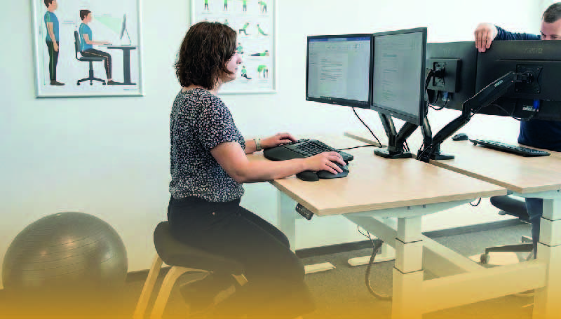 Programa de Ergonomía Aplicada